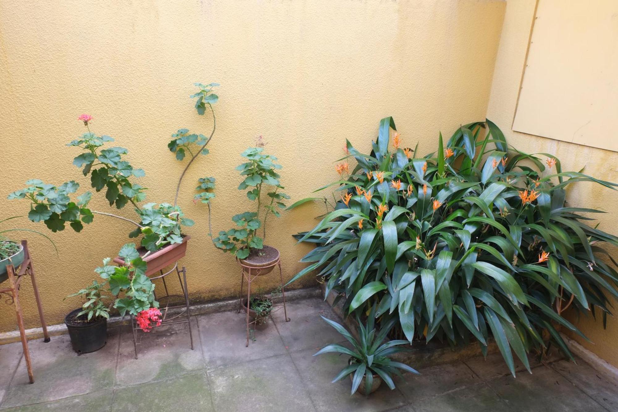 Hostal La Buena Onda Matagalpa Room photo